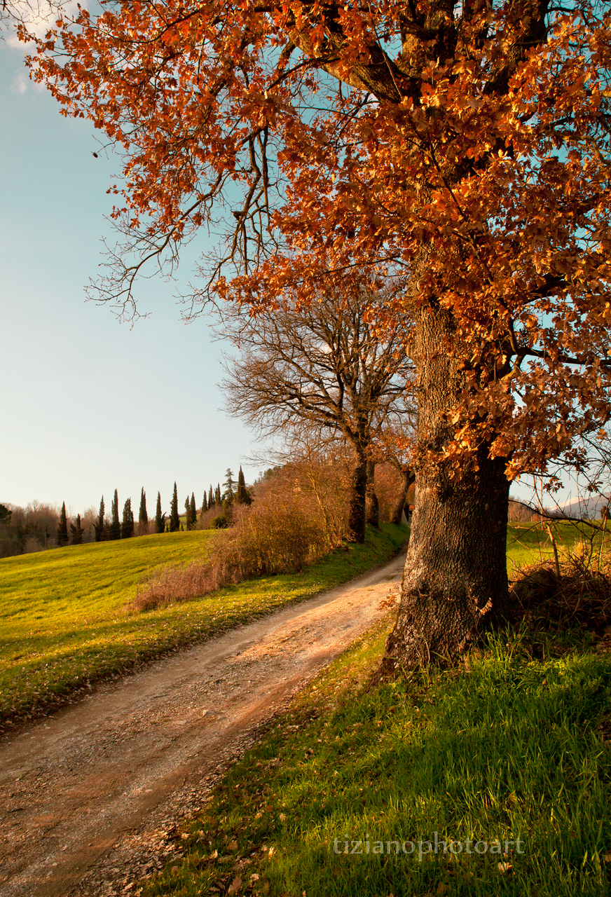 fotografo-toscana,-casentino